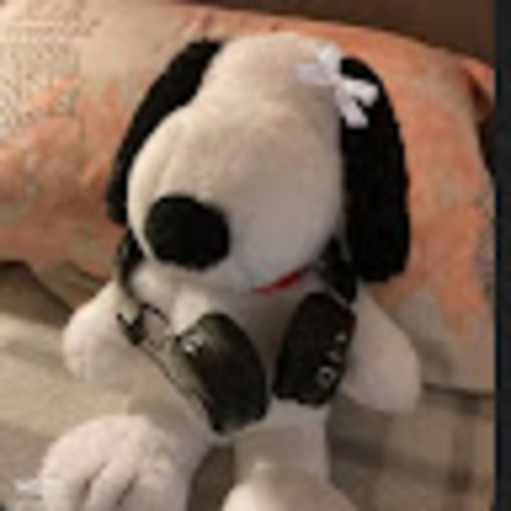 Meet your Posher, Kyla